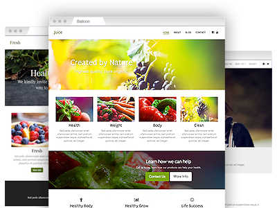 A set of easy–to–redesign website themes